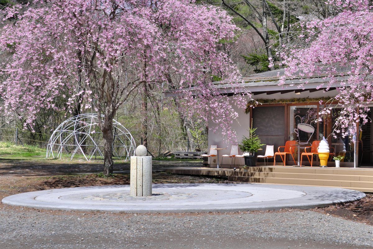 大願成就のなで石と森のカフェKISEKIの外観（桜の季節）