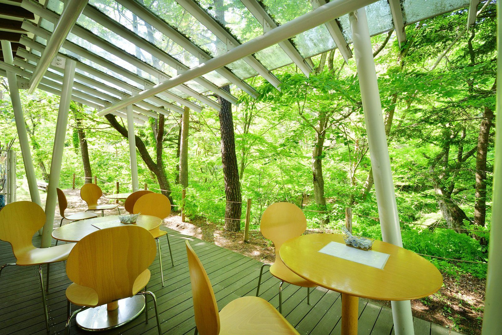 森のカフェKISEKIのテラス席